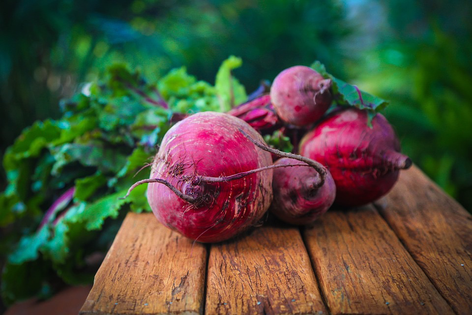 Barbabietole rosse: benefici e controindicazioni